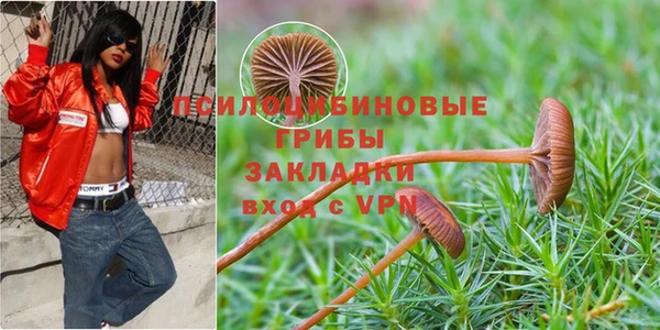 таблы Алексин