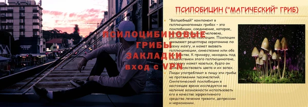 круглые Алексеевка