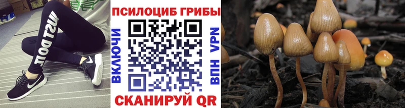 магазин продажи наркотиков  Любим  Псилоцибиновые грибы мухоморы 